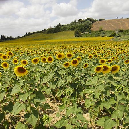 Tenuta Di Colle Alberti Agriturismo Villa แชร์เรโต กุยดิ ภายนอก รูปภาพ