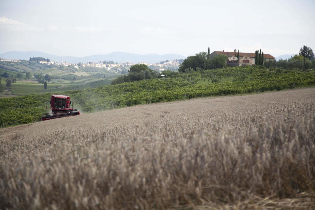 Tenuta Di Colle Alberti Agriturismo Villa แชร์เรโต กุยดิ ภายนอก รูปภาพ